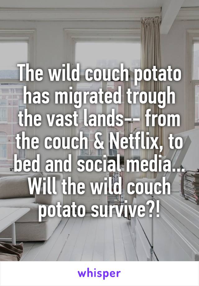 The wild couch potato has migrated trough the vast lands-- from the couch & Netflix, to bed and social media...
Will the wild couch potato survive?!