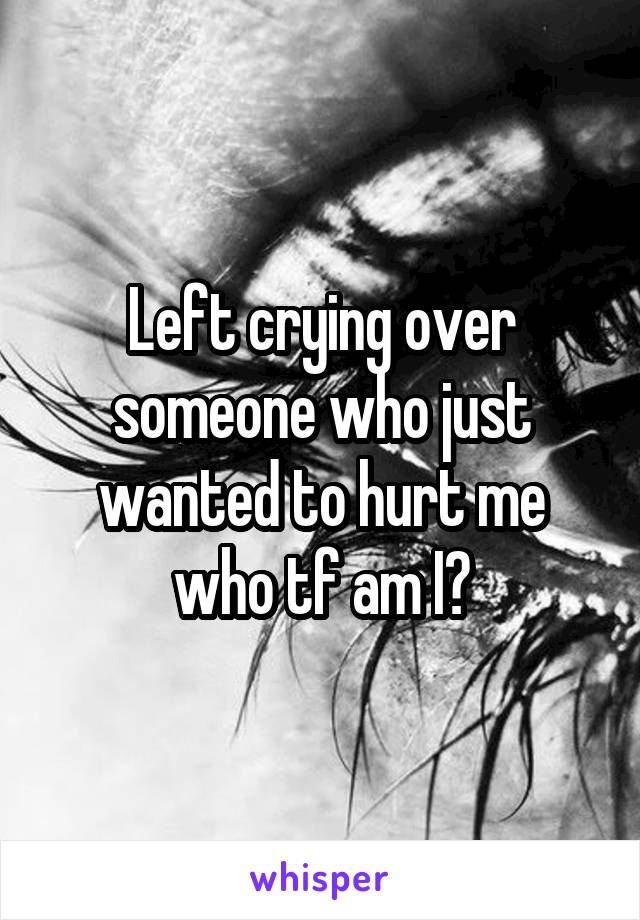 Left crying over someone who just wanted to hurt me who tf am I?