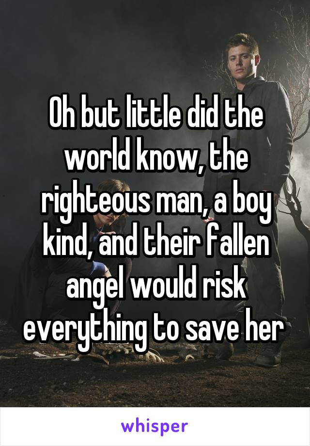 Oh but little did the world know, the righteous man, a boy kind, and their fallen angel would risk everything to save her 