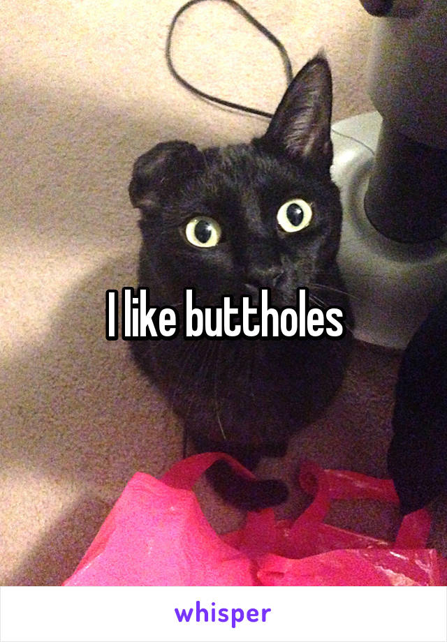 I like buttholes