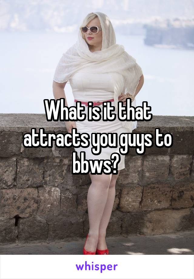 What is it that attracts you guys to bbws? 