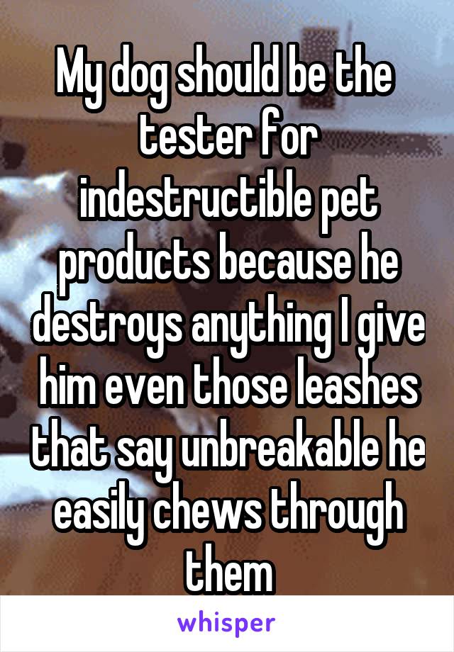 My dog should be the  tester for indestructible pet products because he destroys anything I give him even those leashes that say unbreakable he easily chews through them