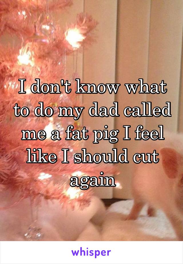 I don't know what to do my dad called me a fat pig I feel like I should cut again