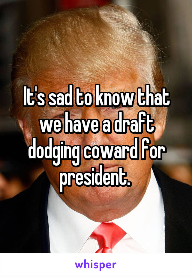 It's sad to know that we have a draft dodging coward for president. 