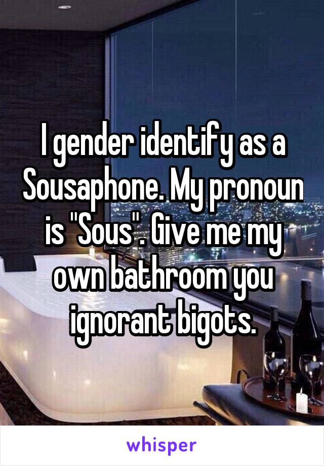 I gender identify as a Sousaphone. My pronoun is "Sous". Give me my own bathroom you ignorant bigots.