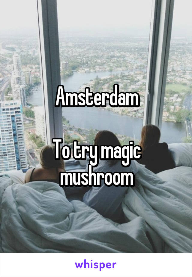 Amsterdam

To try magic mushroom