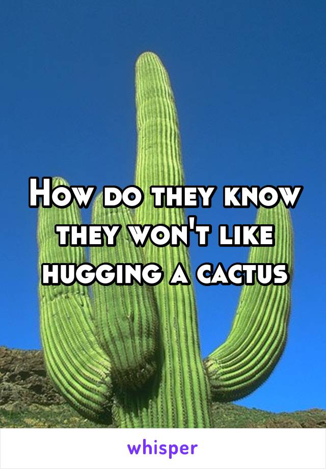 How do they know they won't like hugging a cactus