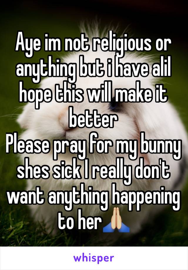 Aye im not religious or anything but i have alil hope this will make it better 
Please pray for my bunny shes sick I really don't want anything happening to her🙏🏼