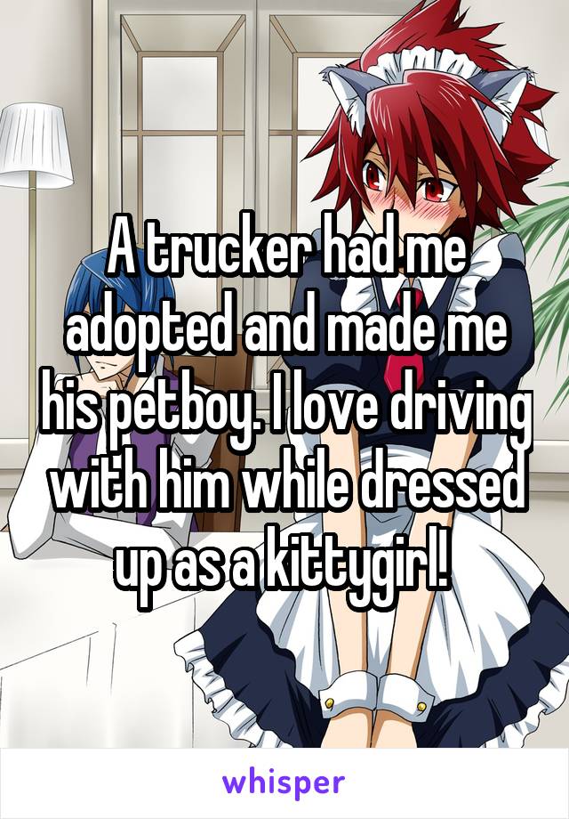 A trucker had me adopted and made me his petboy. I love driving with him while dressed up as a kittygirl! 