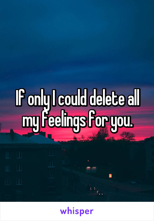 If only I could delete all my feelings for you.