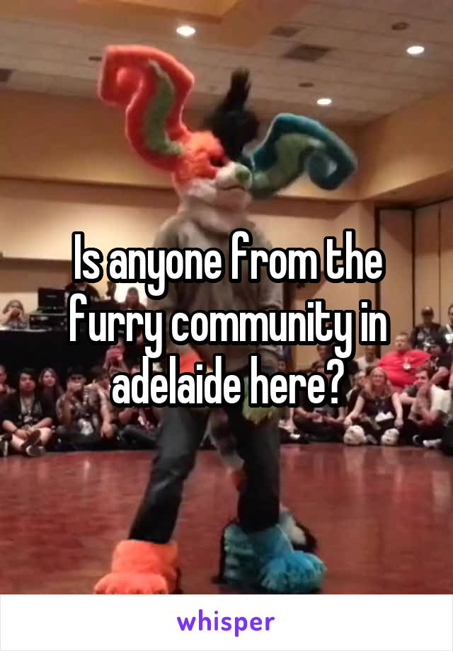 Is anyone from the furry community in adelaide here?