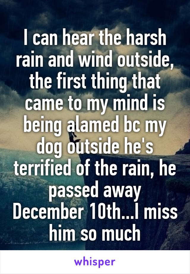 I can hear the harsh rain and wind outside, the first thing that came to my mind is being alamed bc my dog outside he's terrified of the rain, he passed away December 10th...I miss him so much