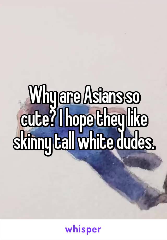 Why are Asians so cute? I hope they like skinny tall white dudes.