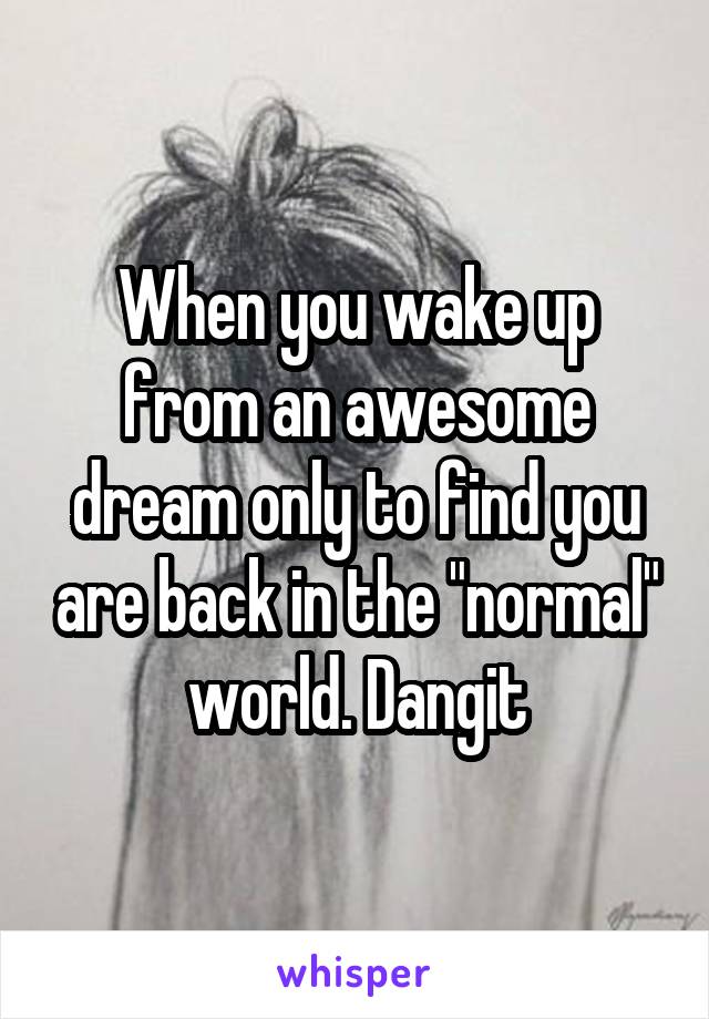 When you wake up from an awesome dream only to find you are back in the "normal" world. Dangit