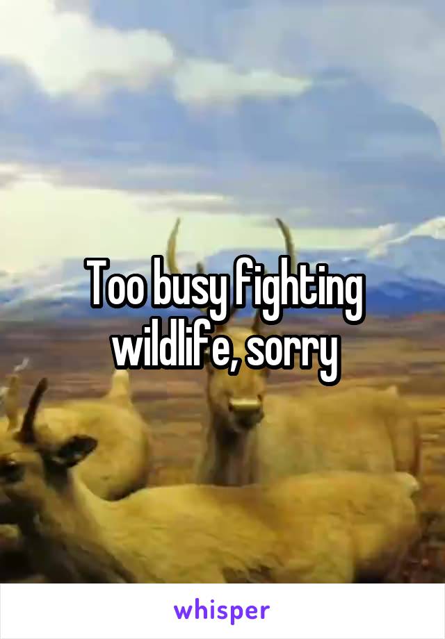 Too busy fighting wildlife, sorry