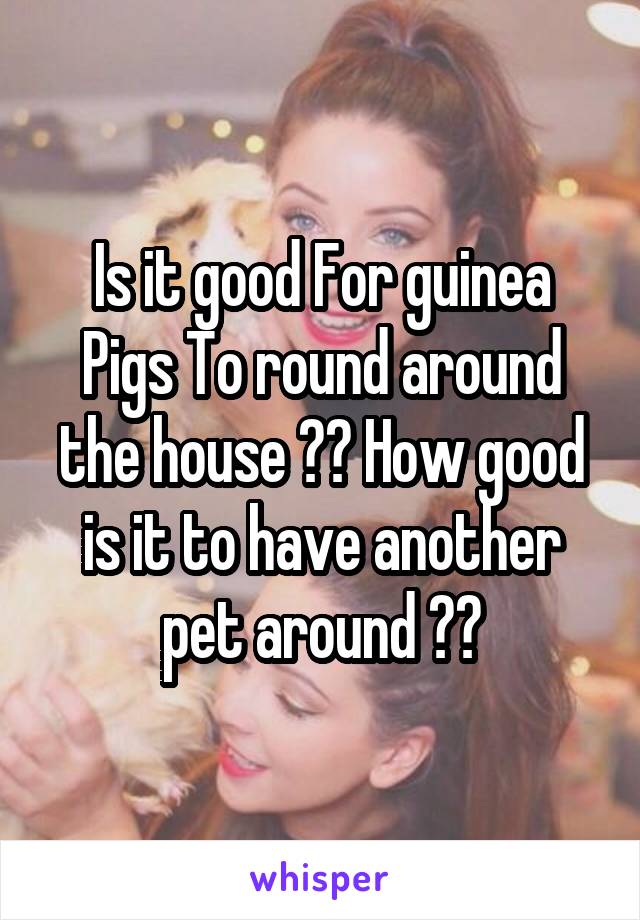 Is it good For guinea Pigs To round around the house ?? How good is it to have another pet around ??