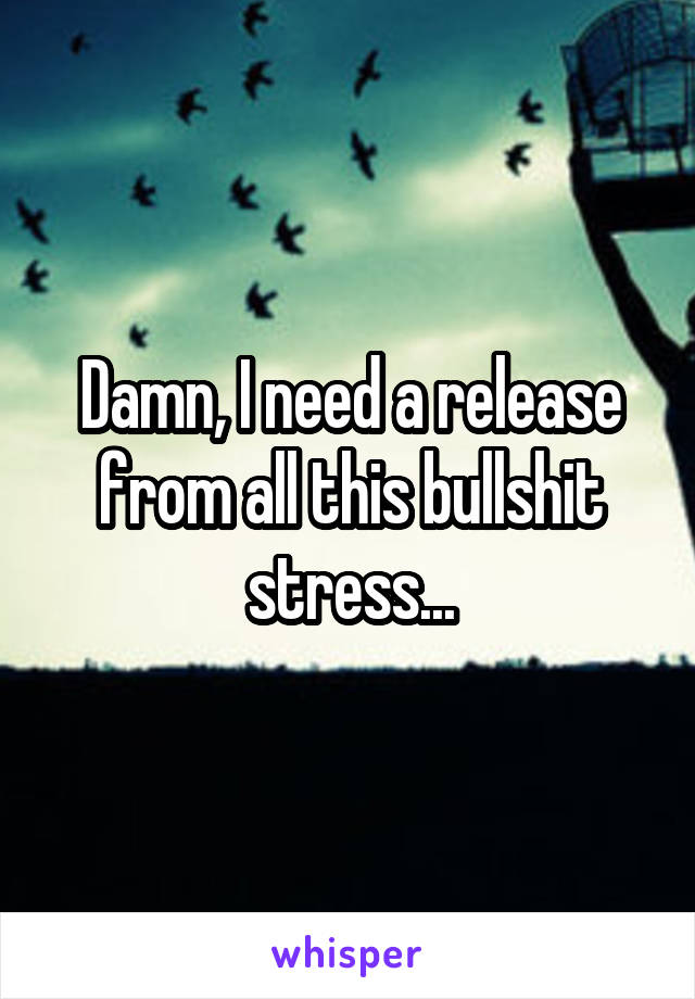 Damn, I need a release from all this bullshit stress...