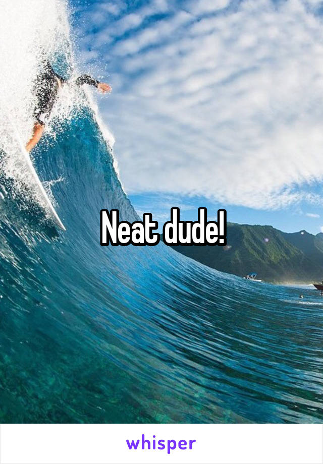 Neat dude!