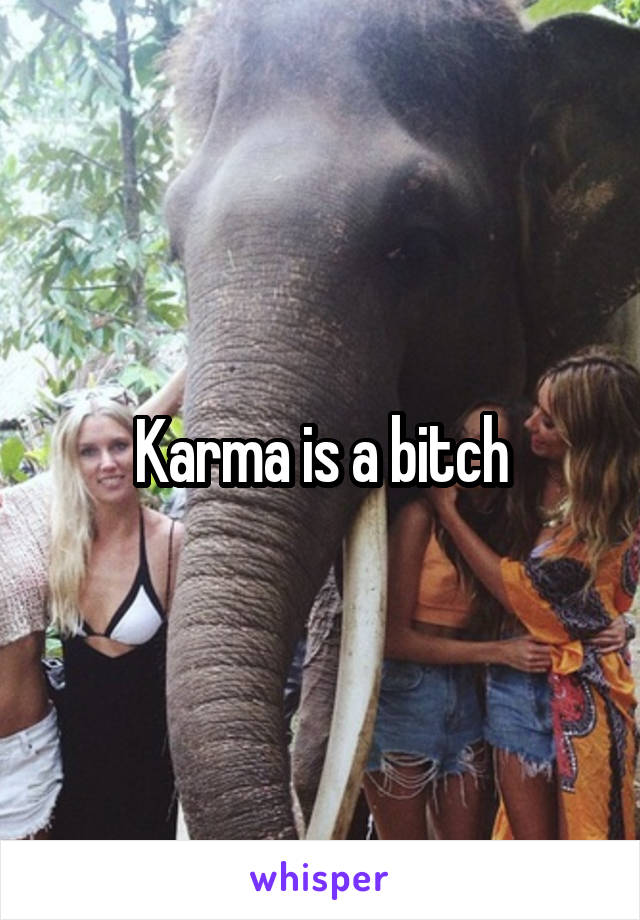 Karma is a bitch