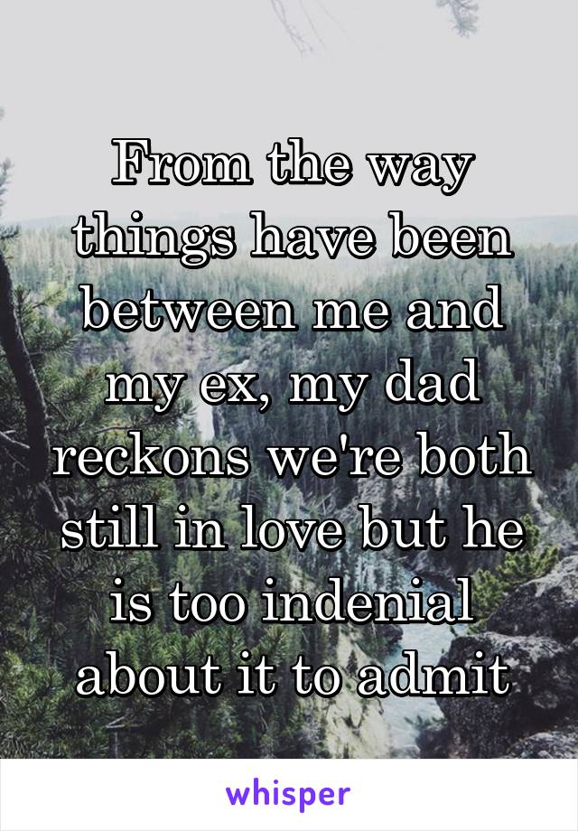 From the way things have been between me and my ex, my dad reckons we're both still in love but he is too indenial about it to admit