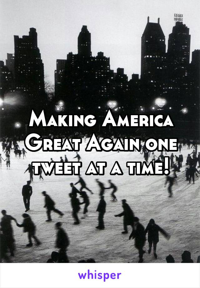 Making America Great Again one tweet at a time!