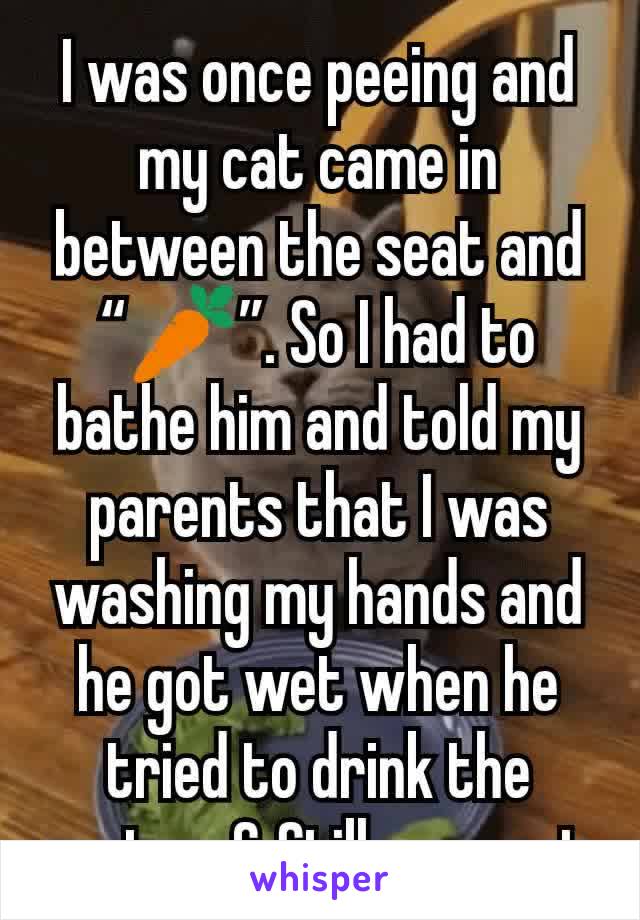 I was once peeing and my cat came in between the seat and “🥕”. So I had to bathe him and told my parents that I was washing my hands and he got wet when he tried to drink the water. & Still a secret