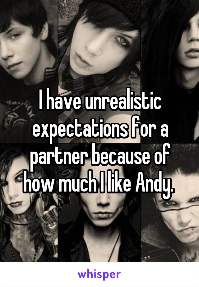 I have unrealistic expectations for a partner because of how much I like Andy. 