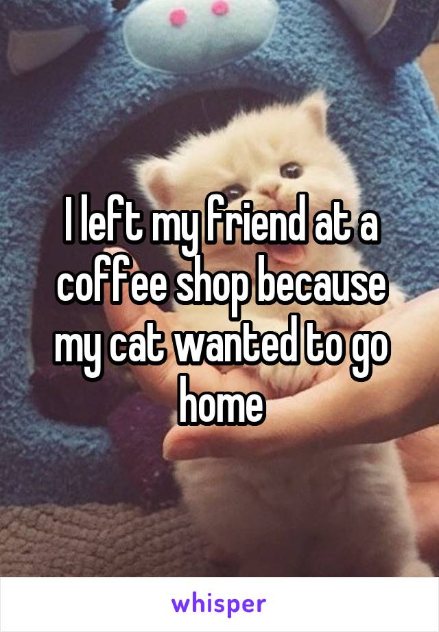 I left my friend at a coffee shop because my cat wanted to go home