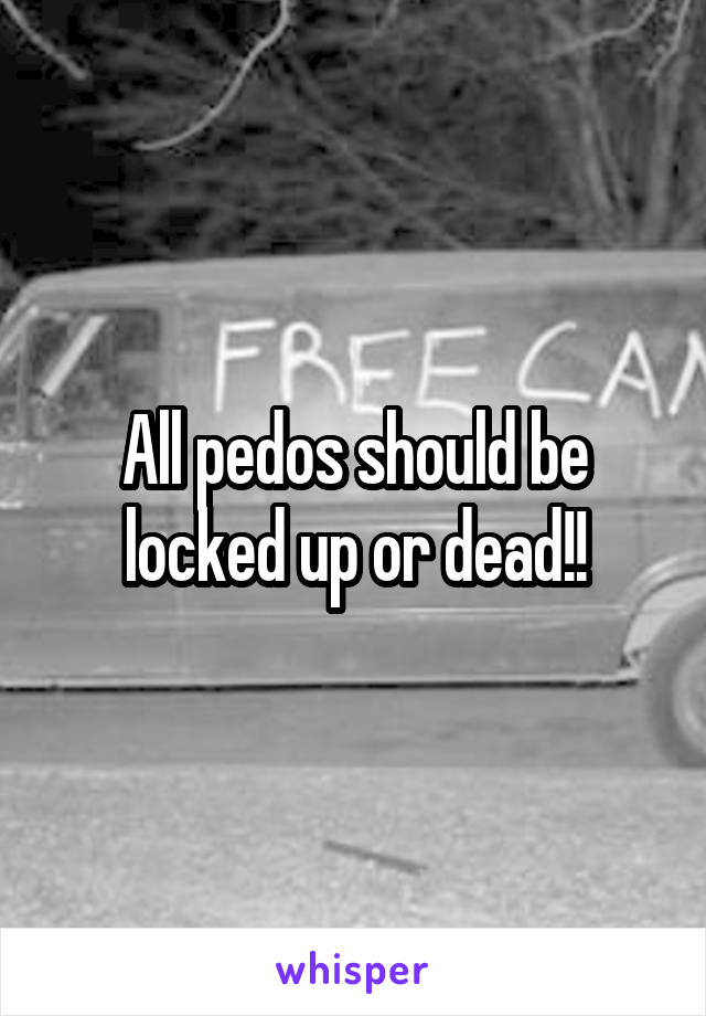 All pedos should be locked up or dead!!