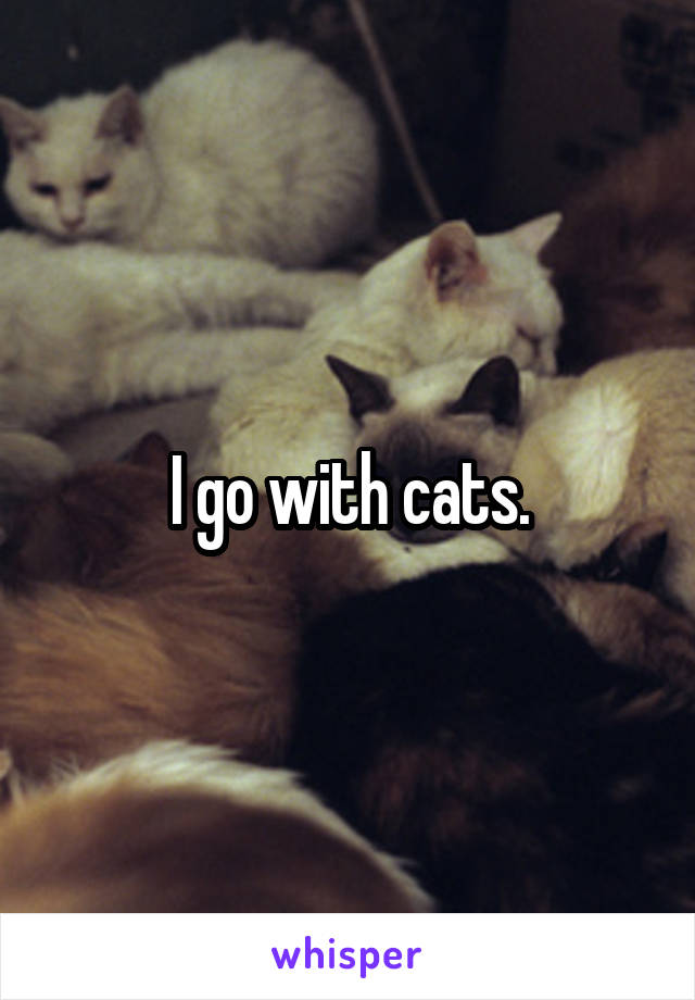 I go with cats.