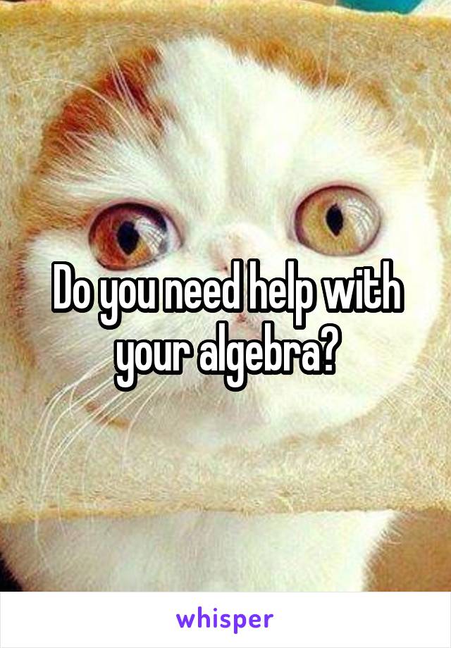 Do you need help with your algebra?