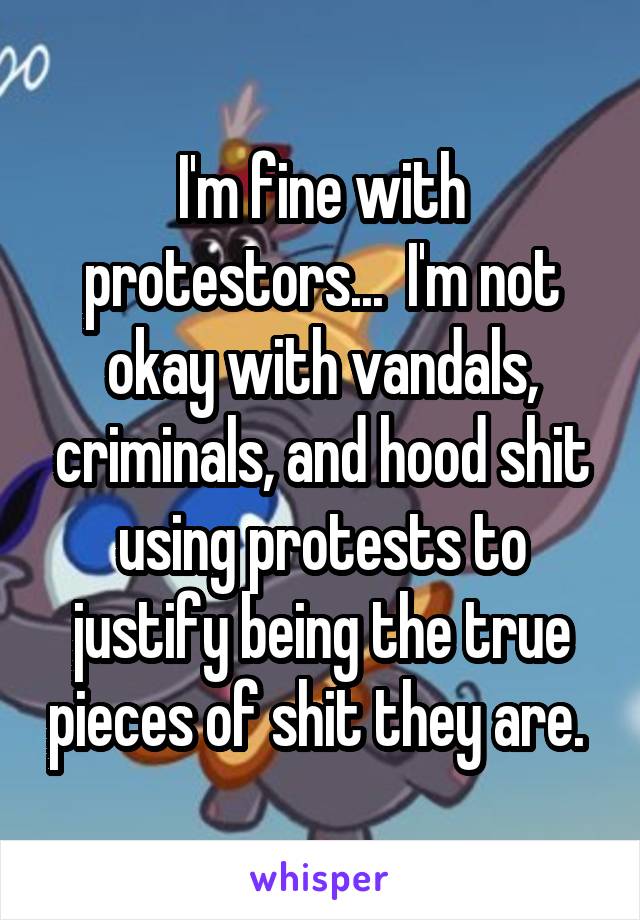 I'm fine with protestors...  I'm not okay with vandals, criminals, and hood shit using protests to justify being the true pieces of shit they are. 