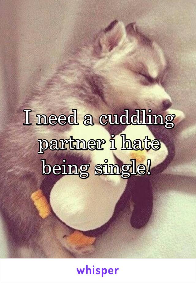 I need a cuddling partner i hate being single! 