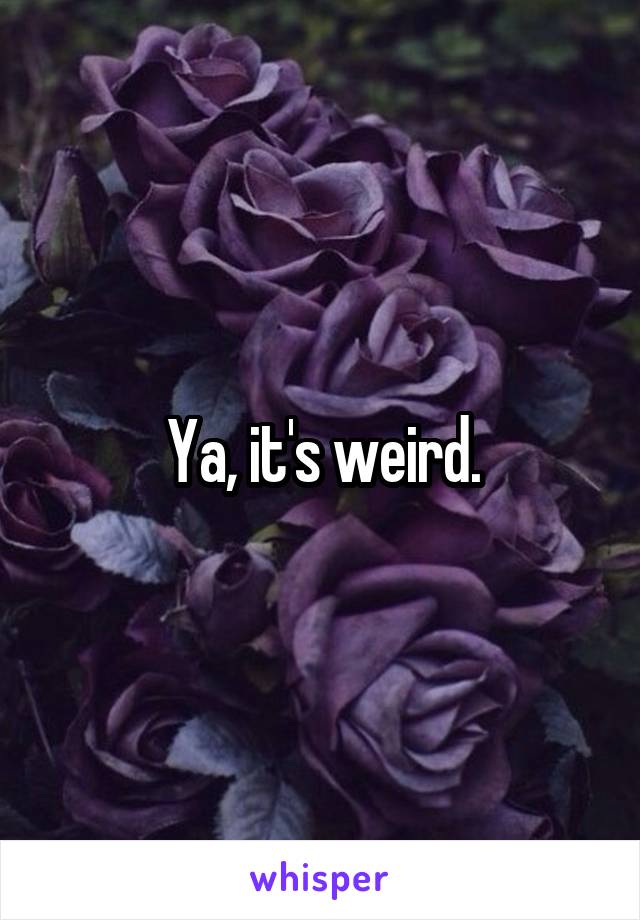 Ya, it's weird.