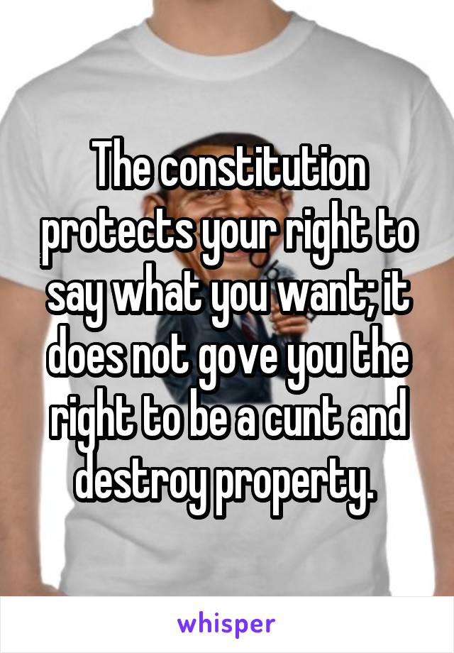 The constitution protects your right to say what you want; it does not gove you the right to be a cunt and destroy property. 