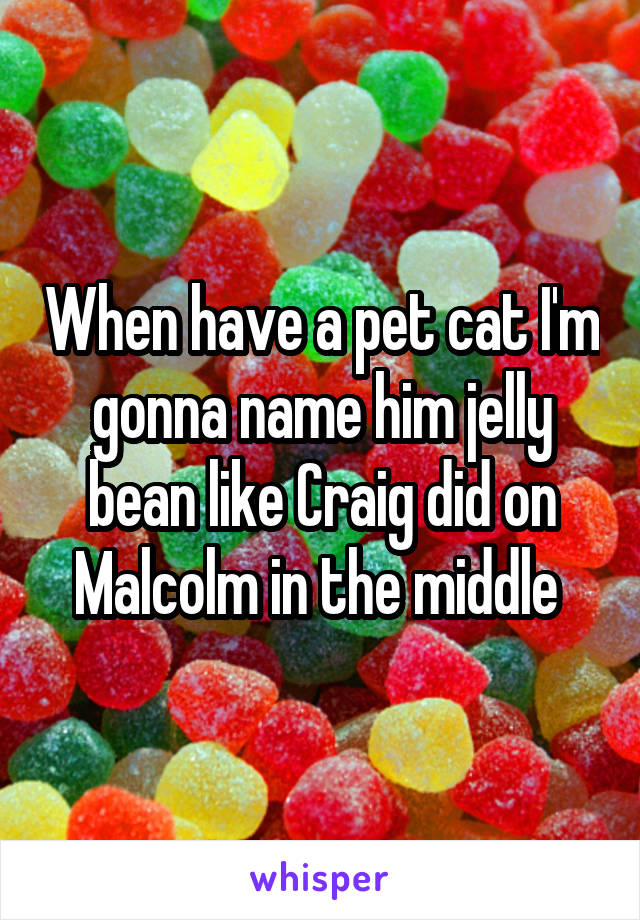 When have a pet cat I'm gonna name him jelly bean like Craig did on Malcolm in the middle 