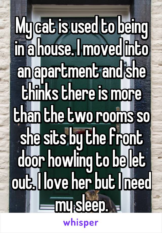 My cat is used to being in a house. I moved into an apartment and she thinks there is more than the two rooms so she sits by the front door howling to be let out. I love her but I need my sleep.