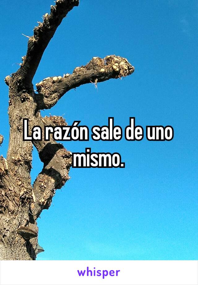 La razón sale de uno mismo.