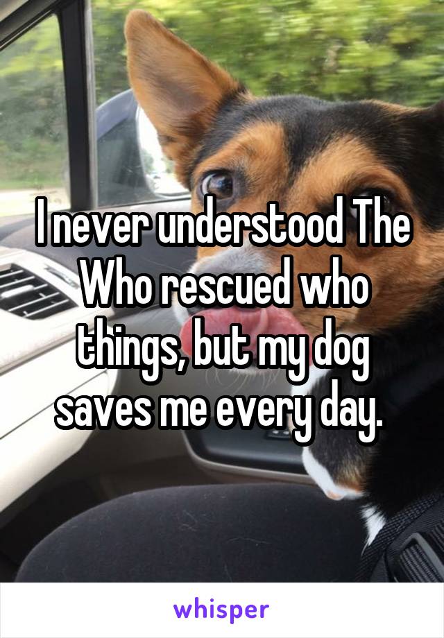 I never understood The Who rescued who things, but my dog saves me every day. 