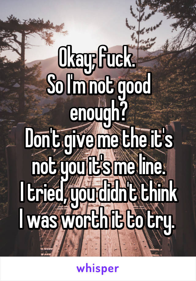 Okay; fuck. 
So I'm not good enough?
Don't give me the it's not you it's me line.
I tried, you didn't think I was worth it to try. 