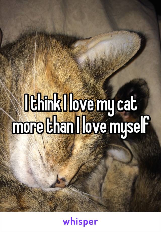 I think I love my cat more than I love myself