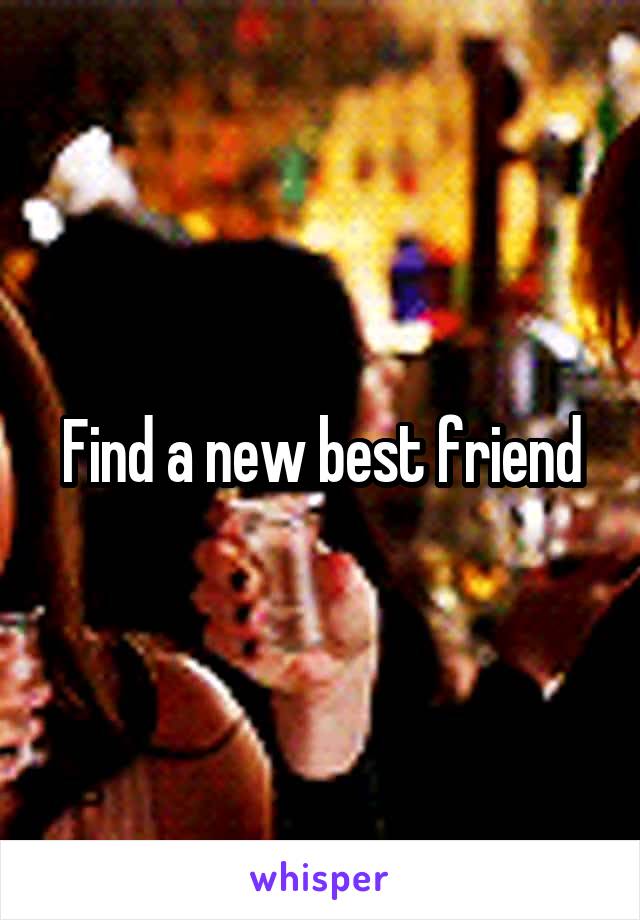 Find a new best friend