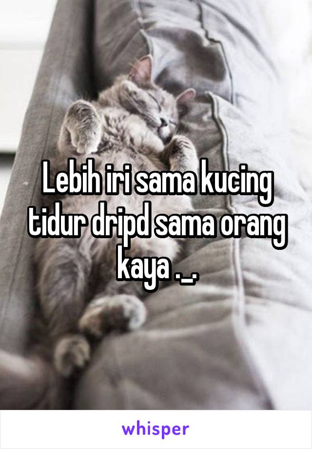 Lebih iri sama kucing tidur dripd sama orang kaya ._.