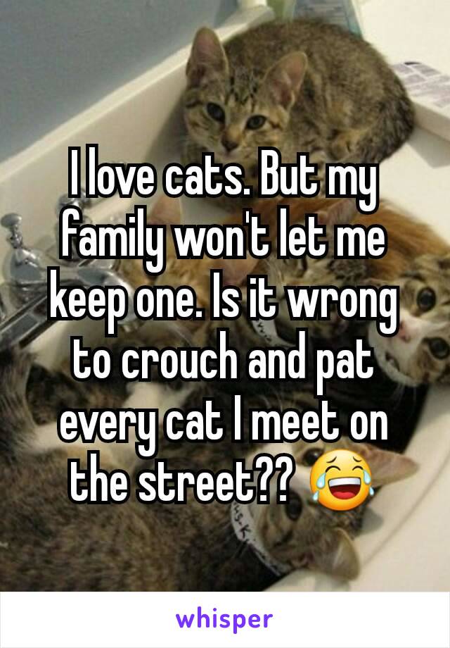 I love cats. But my family won't let me keep one. Is it wrong to crouch and pat every cat I meet on the street?? 😂