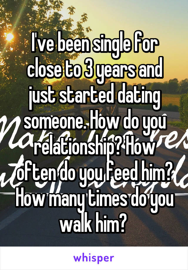 I've been single for close to 3 years and just started dating someone. How do you relationship? How often do you feed him? How many times do you walk him? 