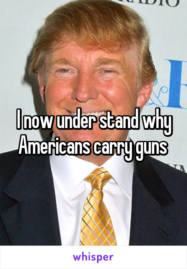 I now under stand why Americans carry guns 