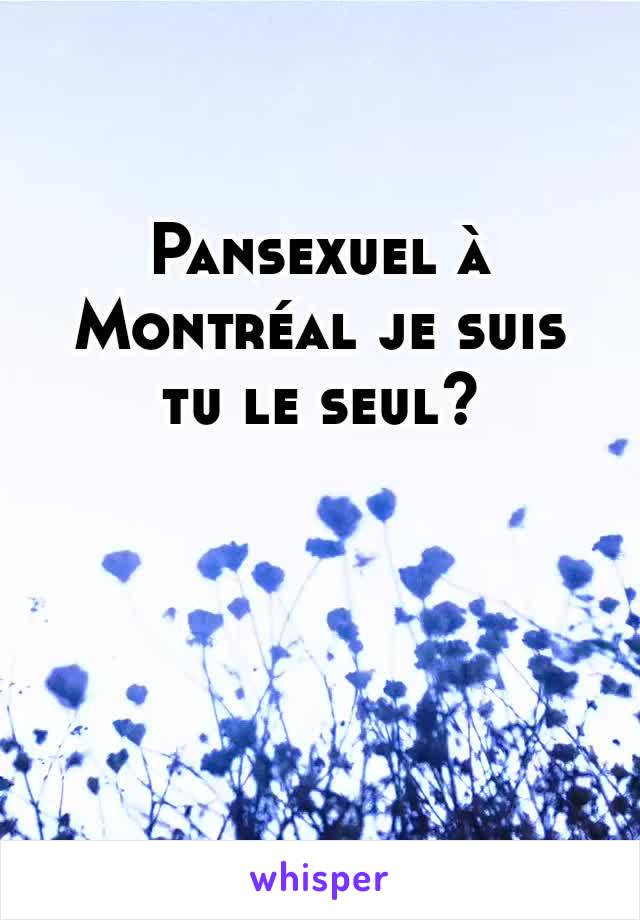 Pansexuel à Montréal je suis tu le seul?