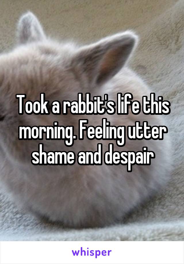 Took a rabbit's life this morning. Feeling utter shame and despair