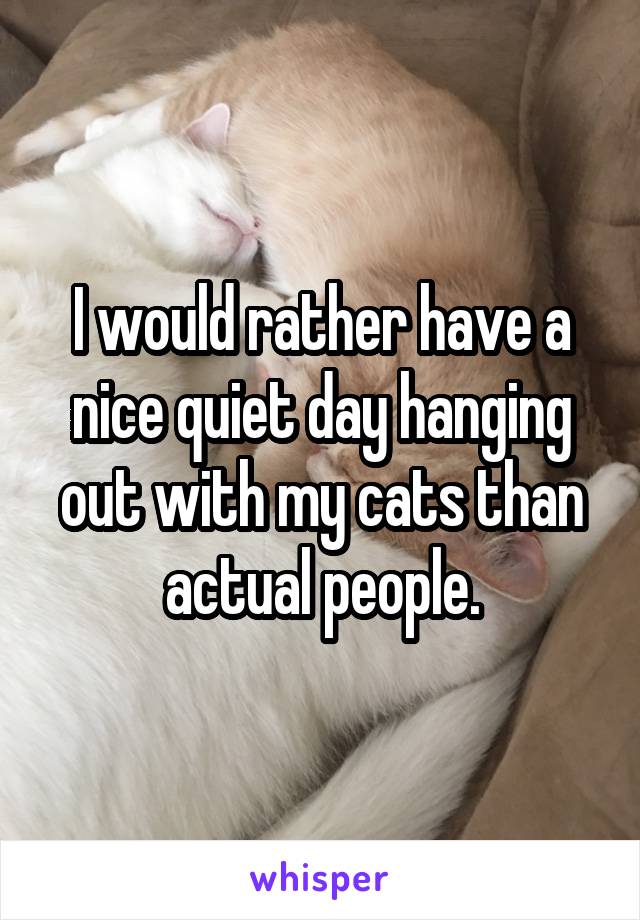 I would rather have a nice quiet day hanging out with my cats than actual people.