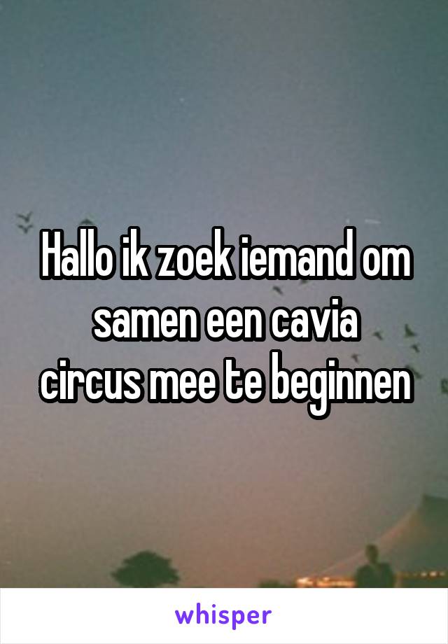 Hallo ik zoek iemand om
samen een cavia circus mee te beginnen